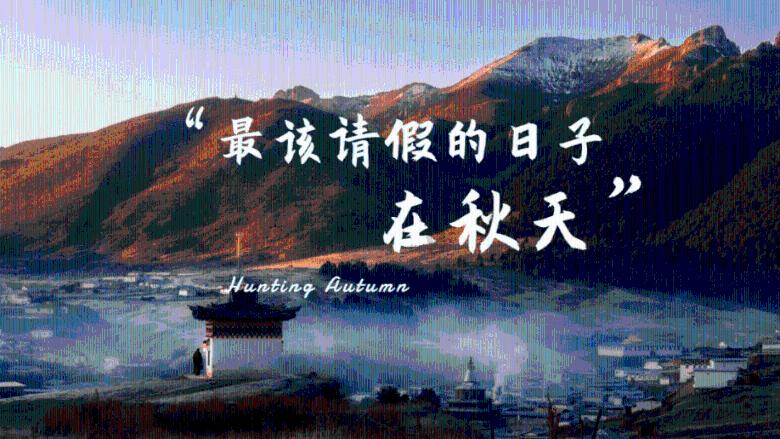 辐射避难所