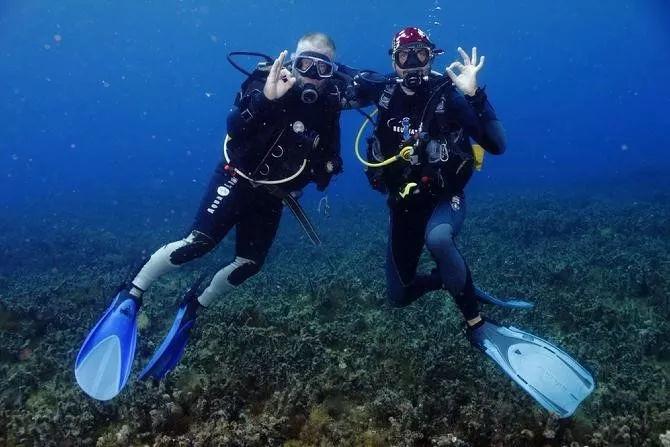 CBA全明星名单揭晓:胡明轩、赵睿领衔首发,山东男篮无人入选