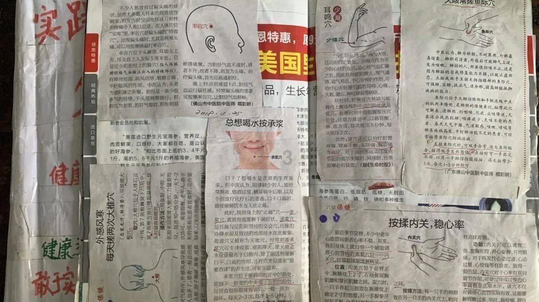 萌宠大连接