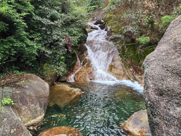 三亚近海发现蓝瓶僧帽水母，毒性较小，可能受季风影响漂流至此